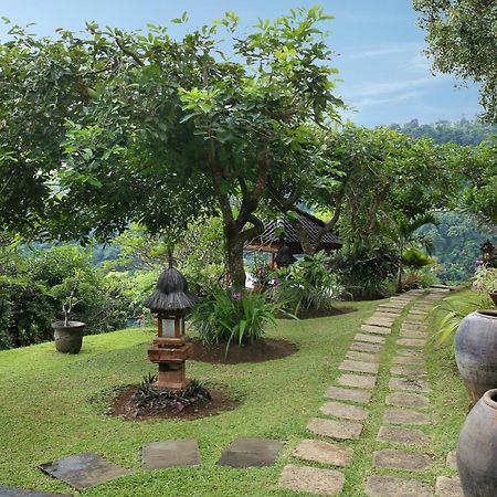Villa Patria โลวินา ภายนอก รูปภาพ