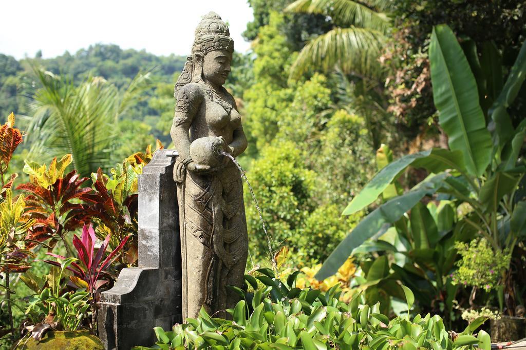 Villa Patria โลวินา ห้อง รูปภาพ